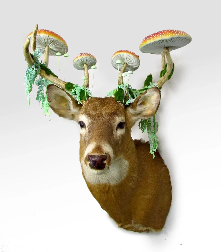 Enlightenment in the Suburbs (Michael Campbell)