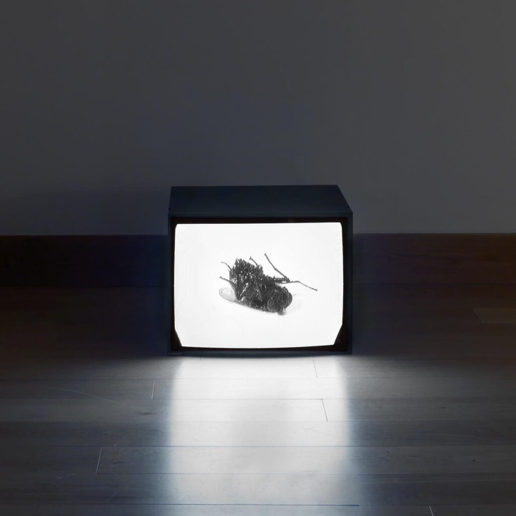 Douglas Gordon: Filmic Re-Presentation(s).